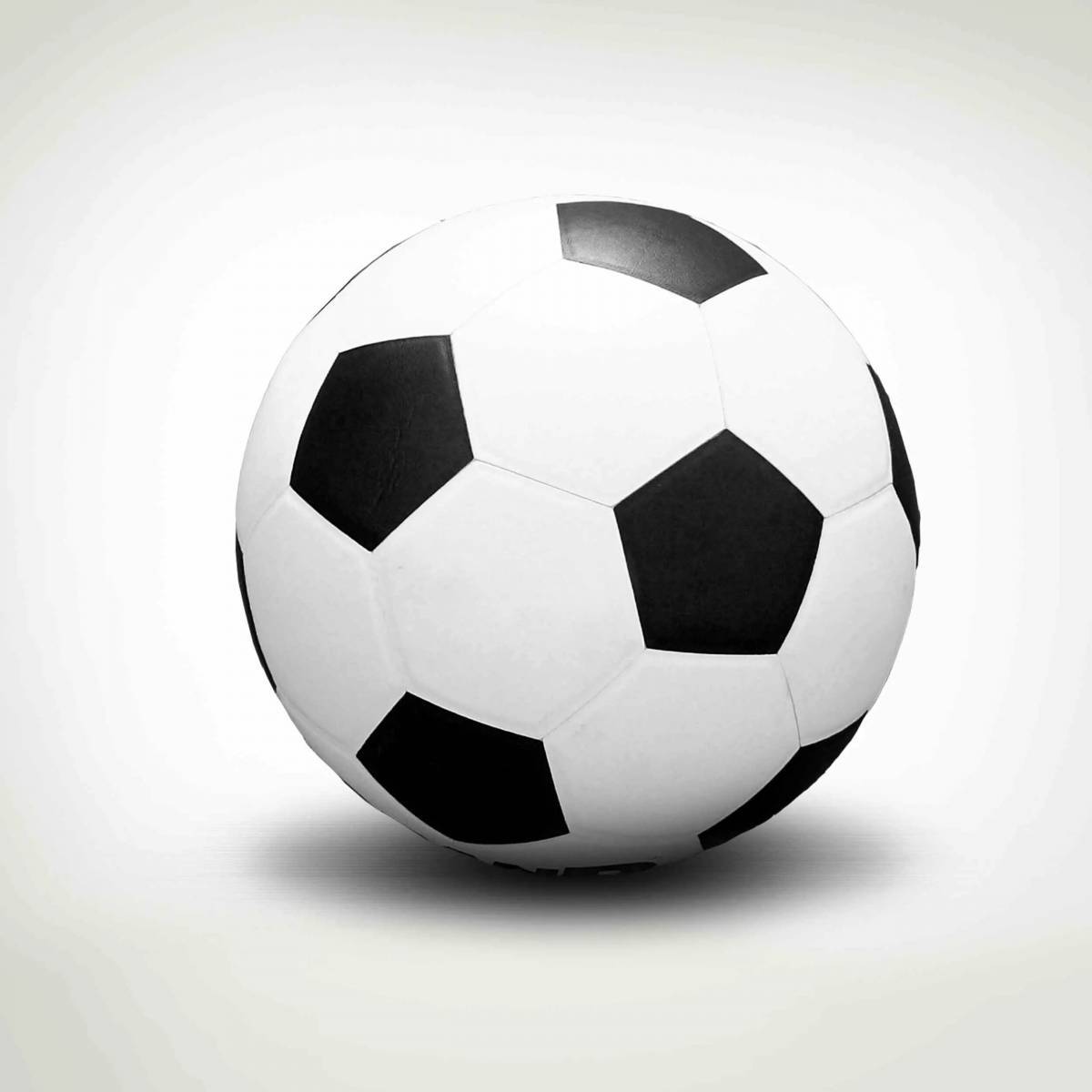 Футбольный мяч #29
