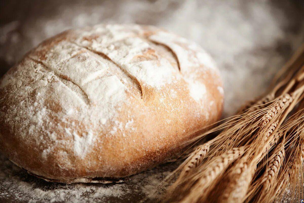 Хлеб #36