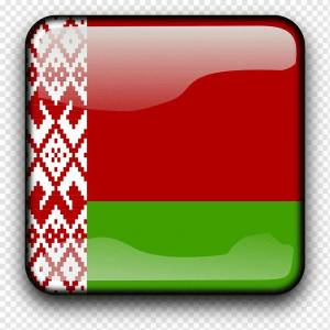 Раскраска флаг беларуси #13 #168313