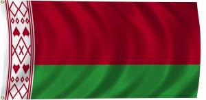 Раскраска флаг беларуси #18 #168318