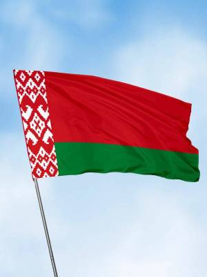 Раскраска флаг беларуси #19 #168319