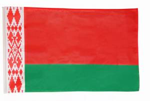 Раскраска флаг беларуси #21 #168321