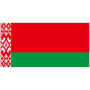 Раскраска флаг беларуси #22 #168322