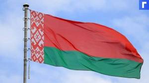 Раскраска флаг беларуси #26 #168326