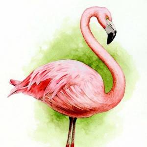 Раскраска фламинго для детей #17 #168614