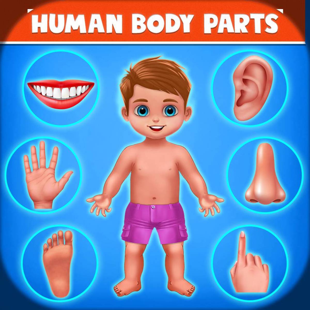 Body parts for kids. Детский плакат части тела. Приклей части тела. Стикеры части тела. Наклеить части тела.