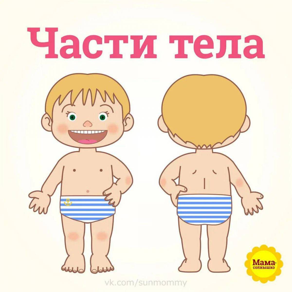 Тело картинка для детей