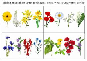 Раскраска цветы для детей 5 6 лет #11 #173932