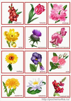 Раскраска цветы для детей 6 7 лет #22 #173981