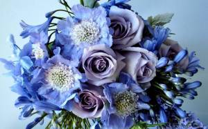 Раскраска цветы красивые #13 #174085