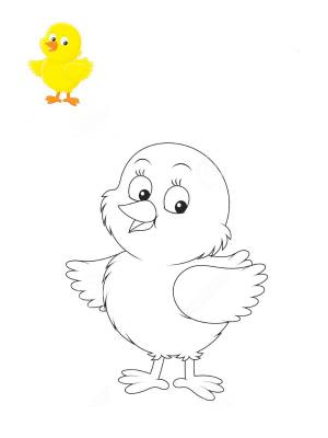 Раскраска цыпленок для детей 2 3 лет #4 #174622