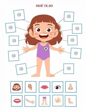 Раскраска части тела #10 #175268