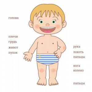Раскраска части тела человека для детей #4 #175337