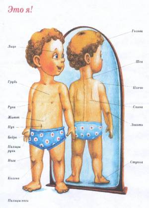 Раскраска части тела человека для детей #26 #175359