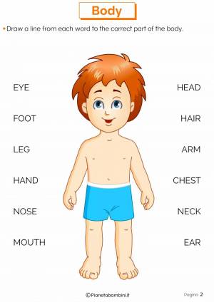 Раскраска части тела человека для детей #31 #175364