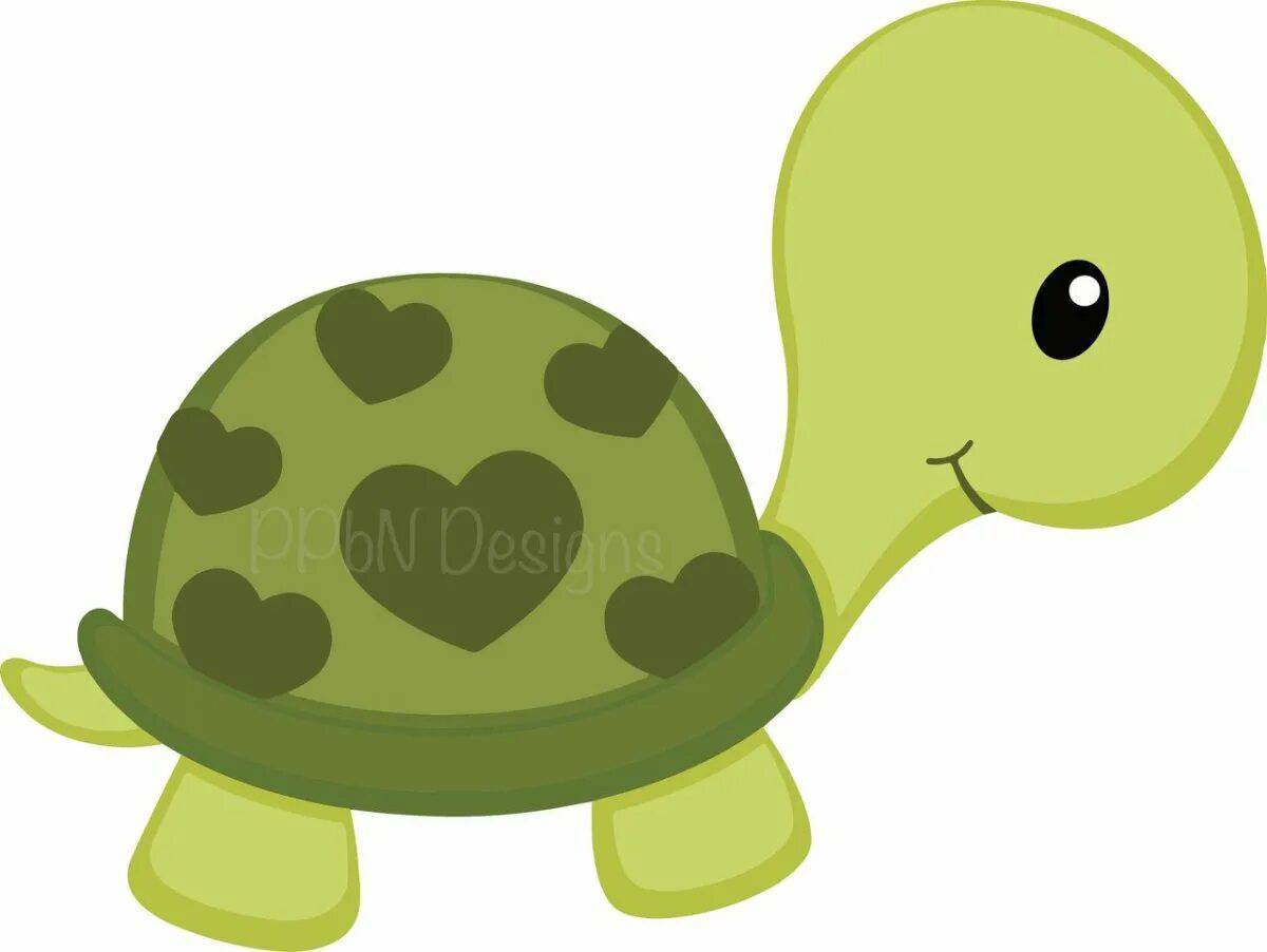 Черепашка картинка. Тортуга черепаха Тортуга. Мультяшные черепахи. Черепашка мультяшная. Черепаха рисунок.