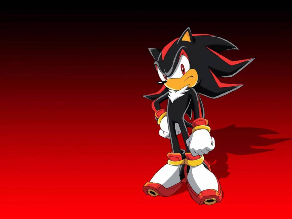 Shadow. Соник и Шедоу. Ёж Шедоу Соник Икс. Шедоу ёж Соник x. Sonic x Шедоу.