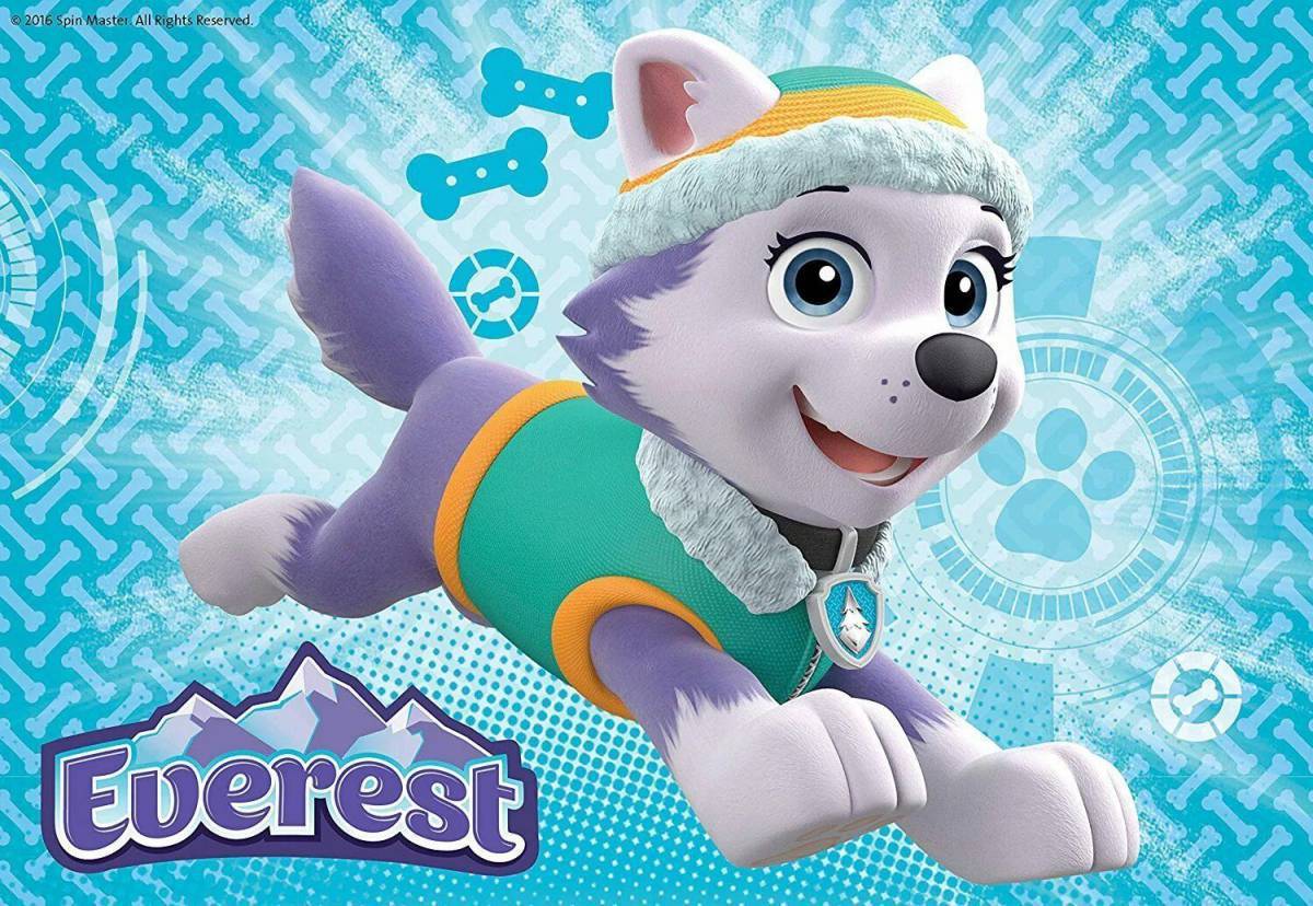 Paw Patrol Everest