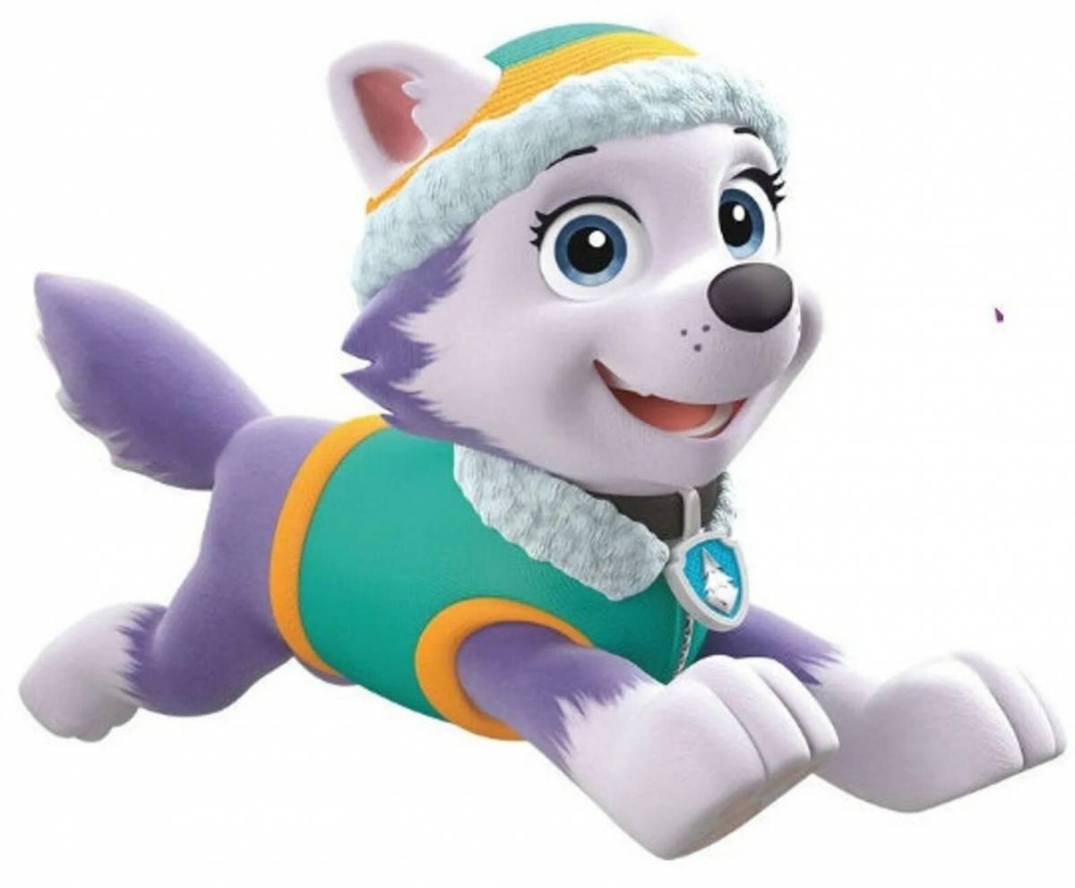 Paw Patrol Everest