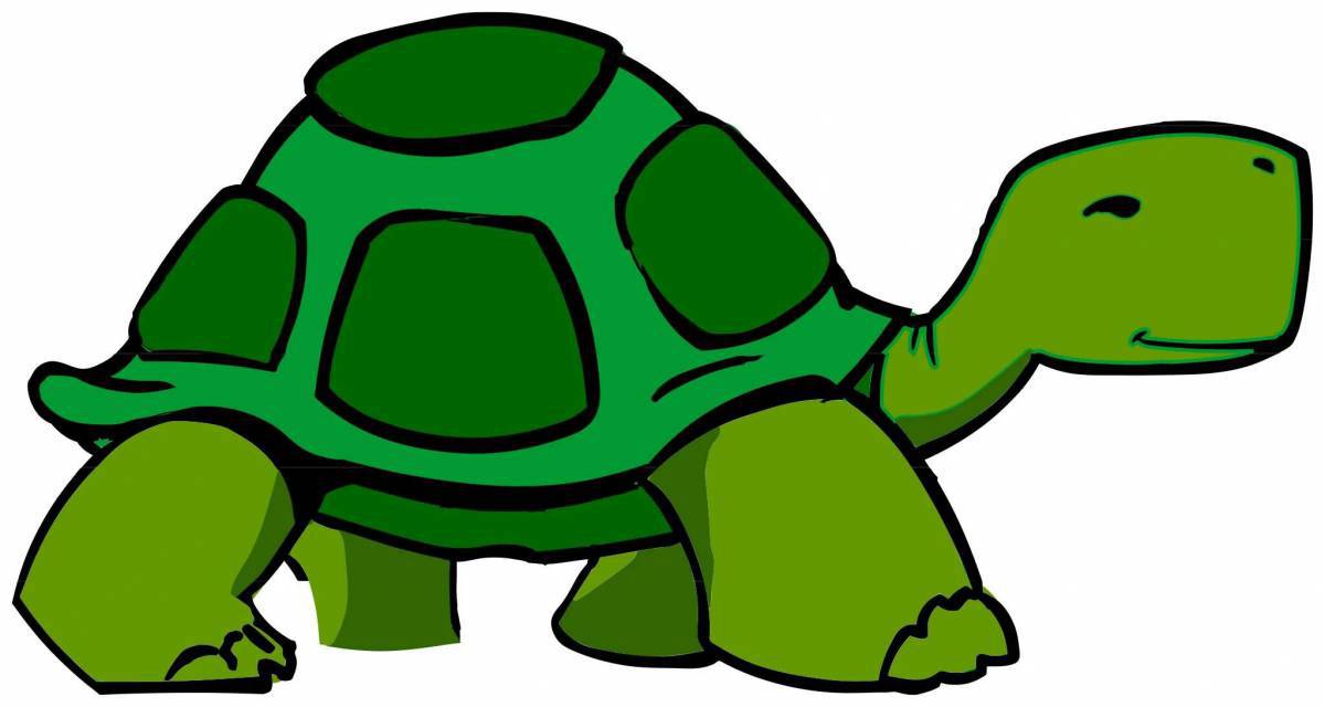 Черепаха для детей картинка #9