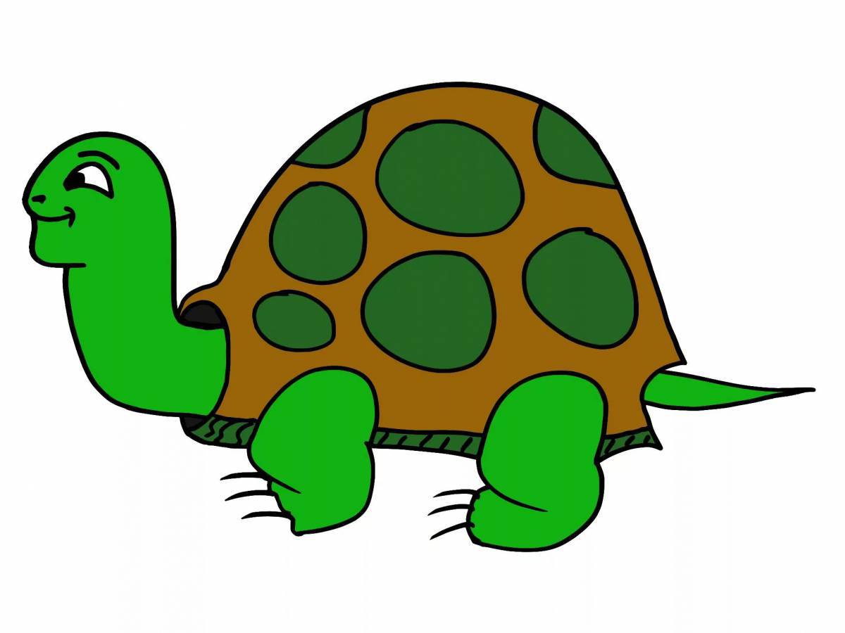 Черепаха для детей картинка #20