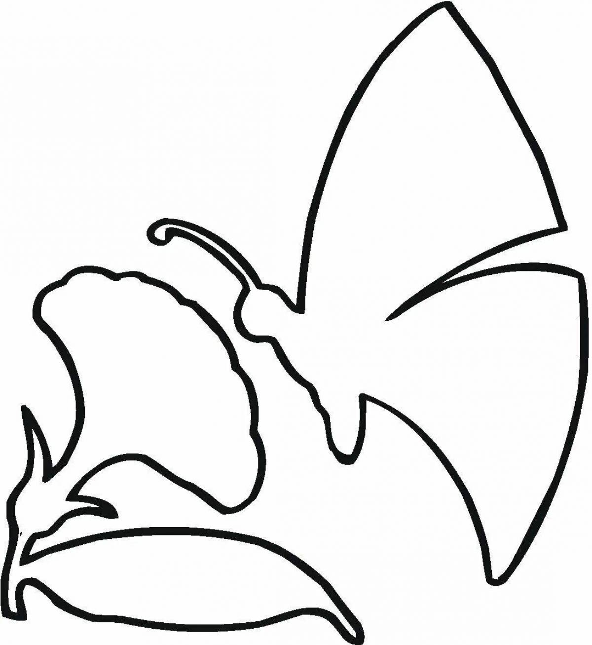 Шаблон бабочка #17