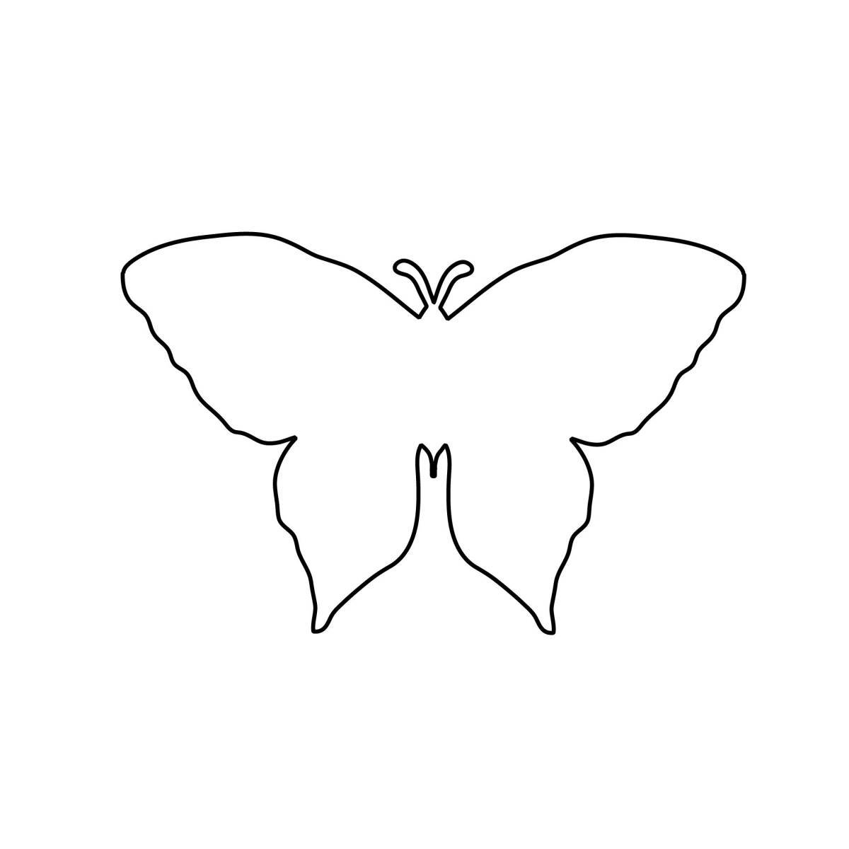 Шаблон бабочка #20