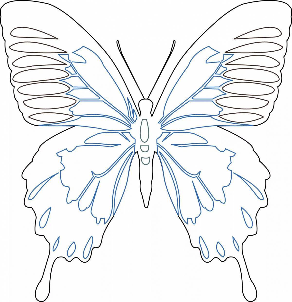 Шаблон бабочка #24