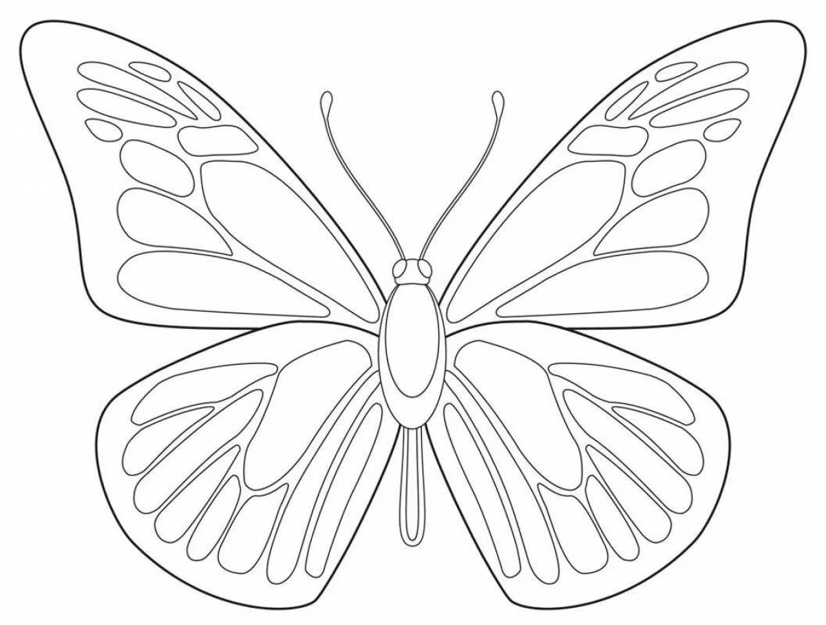 Шаблон бабочка #34