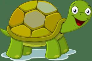 Раскраска черепаха для детей #2 #176638