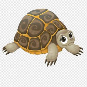 Раскраска черепаха для детей картинка #7 #176667