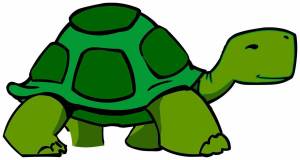 Раскраска черепаха для детей картинка #9 #176669