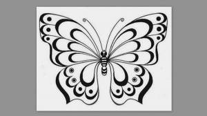 Раскраска шаблон бабочка #1 #177567