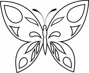 Раскраска шаблон бабочка #16 #177582