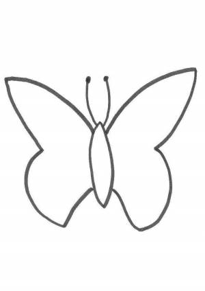 Раскраска шаблон бабочка #25 #177591