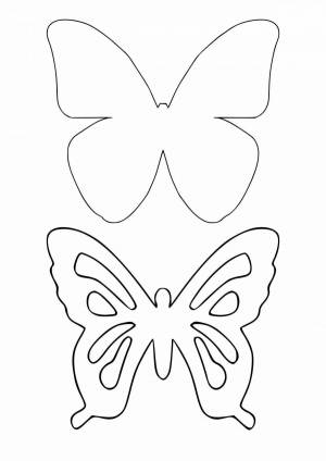 Раскраска шаблон бабочка #30 #177596