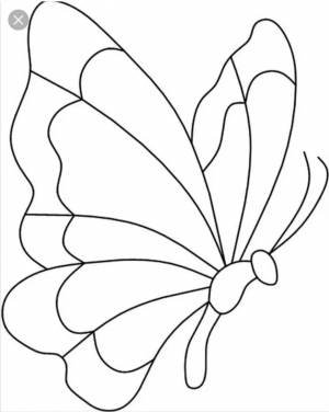 Раскраска шаблон бабочка #36 #177602