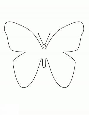 Раскраска шаблон бабочка #37 #177603
