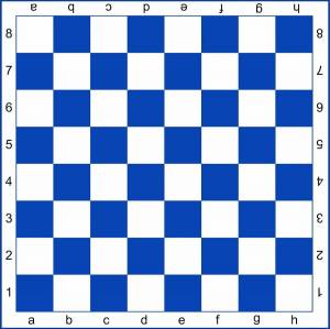 Раскраска шахматная доска #21 #178145