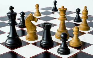 Раскраска шахматы #12 #178170