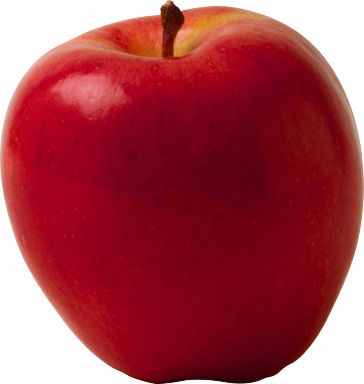 Яблоко картинка. Яблоко. Яблоки красные. Яслоко. Яблоко на белом фоне.