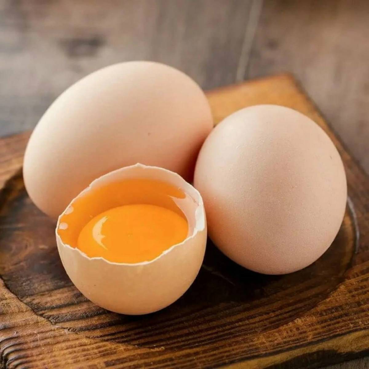 фотография яйца