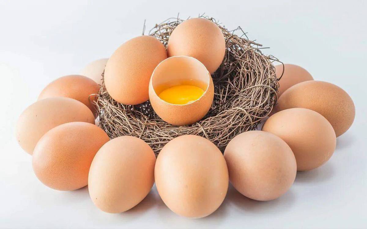 Яйцо #30