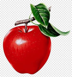 Раскраска яблоко картинка #10 #181860