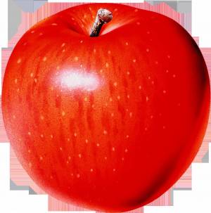 Раскраска яблоко картинка #28 #181878