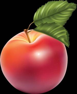Раскраска яблоко картинка для детей #17 #181905