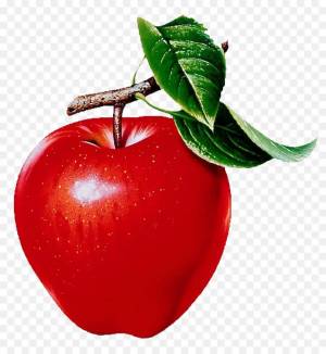 Раскраска яблоко картинка для детей #20 #181908