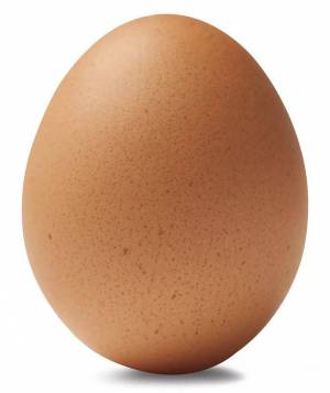 Раскраска яйцо #11 #182032