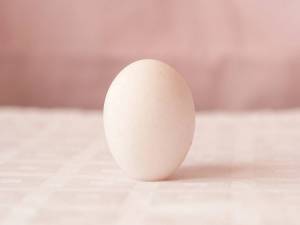 Раскраска яйцо #21 #182042