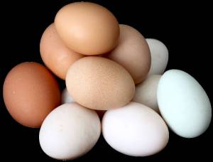 Раскраска яйцо #34 #182055